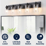 Irving Seeded Glass/Iron Modern Contemporary LED Vanity Light