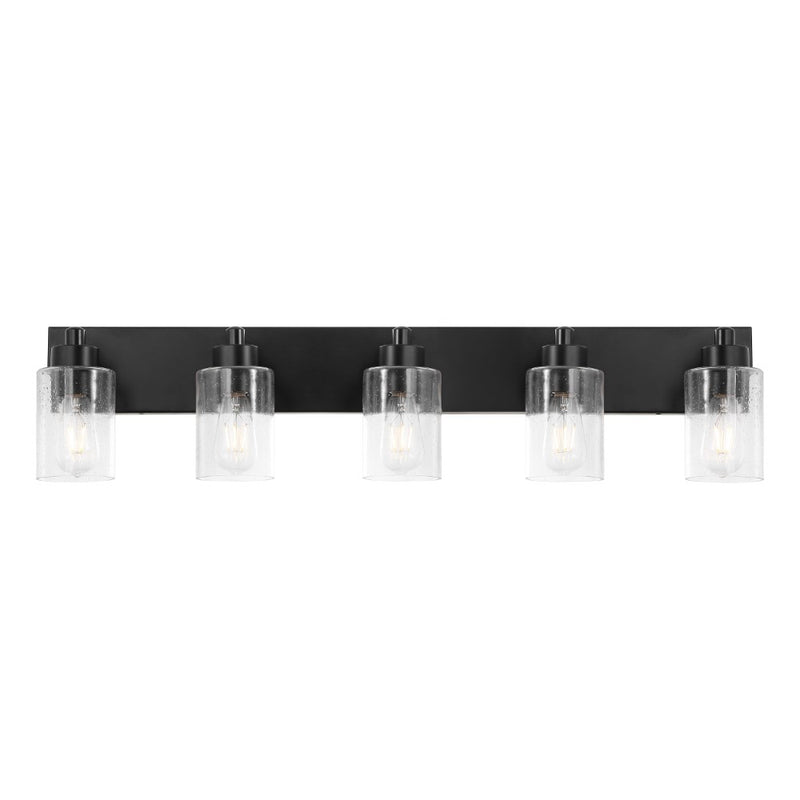 Irving Seeded Glass/Iron Modern Contemporary LED Vanity Light