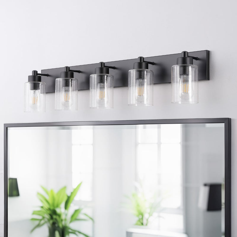 Irving Seeded Glass/Iron Modern Contemporary LED Vanity Light
