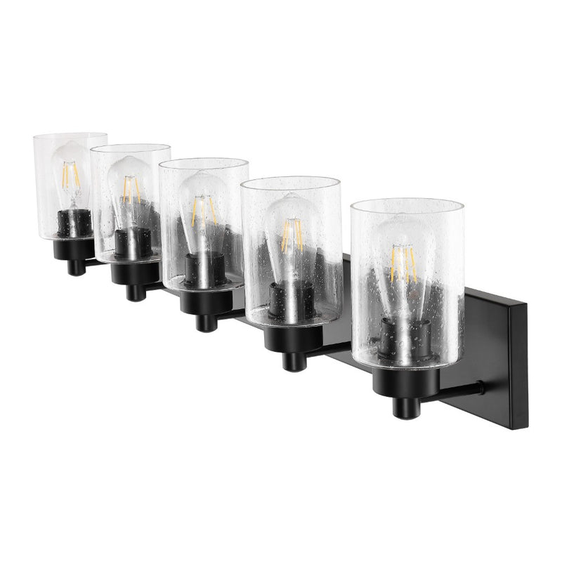 Irving Seeded Glass/Iron Modern Contemporary LED Vanity Light