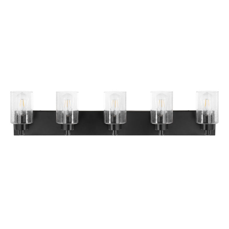 Irving Seeded Glass/Iron Modern Contemporary LED Vanity Light