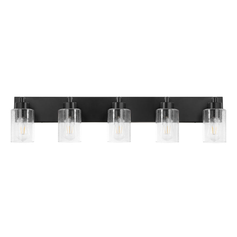 Irving Seeded Glass/Iron Modern Contemporary LED Vanity Light