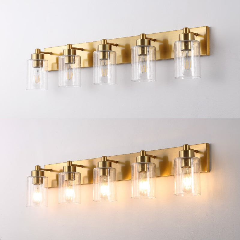 Irving Seeded Glass/Iron Modern Contemporary LED Vanity Light