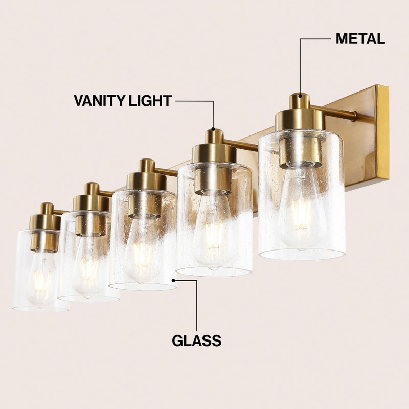 Irving Seeded Glass/Iron Modern Contemporary LED Vanity Light