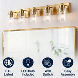 Irving Seeded Glass/Iron Modern Contemporary LED Vanity Light