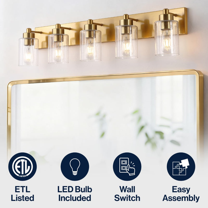 Irving Seeded Glass/Iron Modern Contemporary LED Vanity Light