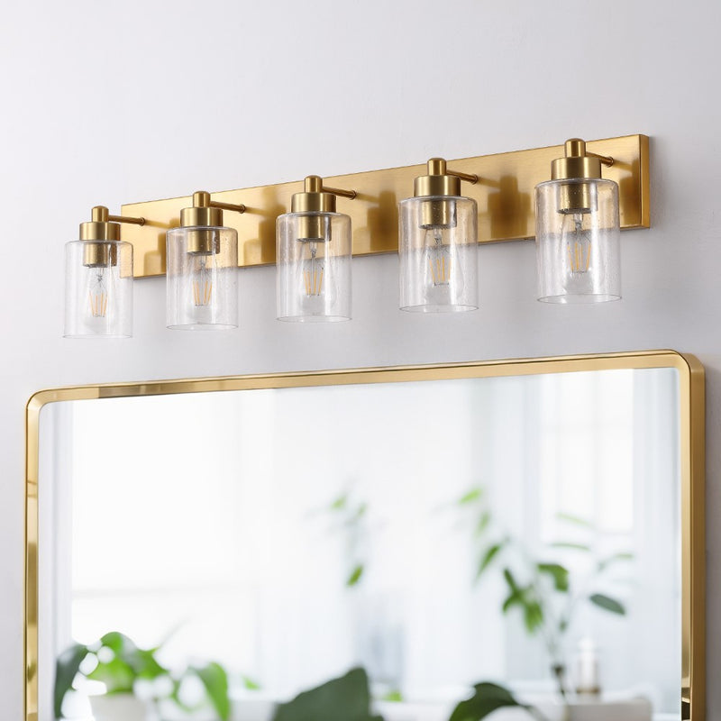 Irving Seeded Glass/Iron Modern Contemporary LED Vanity Light