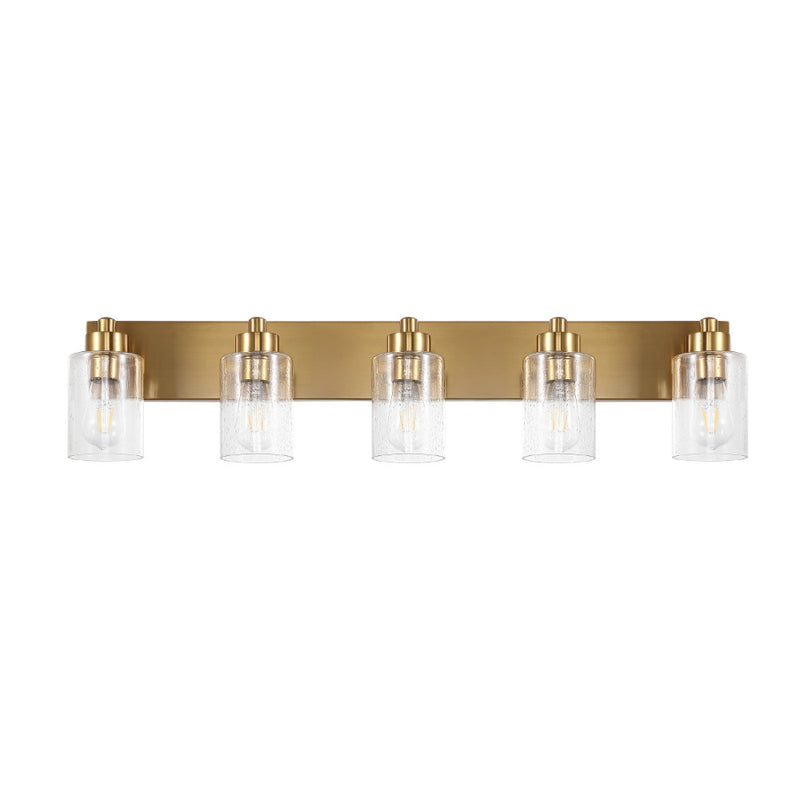 Irving Seeded Glass/Iron Modern Contemporary LED Vanity Light