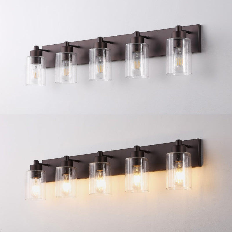 Irving Seeded Glass/Iron Modern Contemporary LED Vanity Light