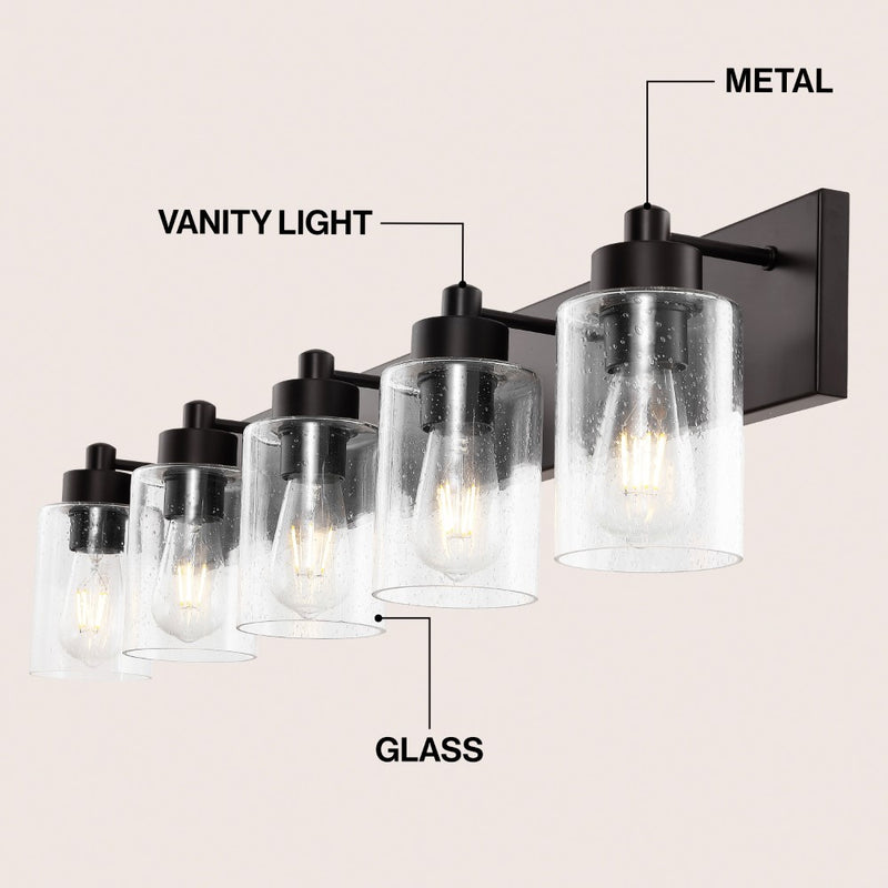Irving Seeded Glass/Iron Modern Contemporary LED Vanity Light