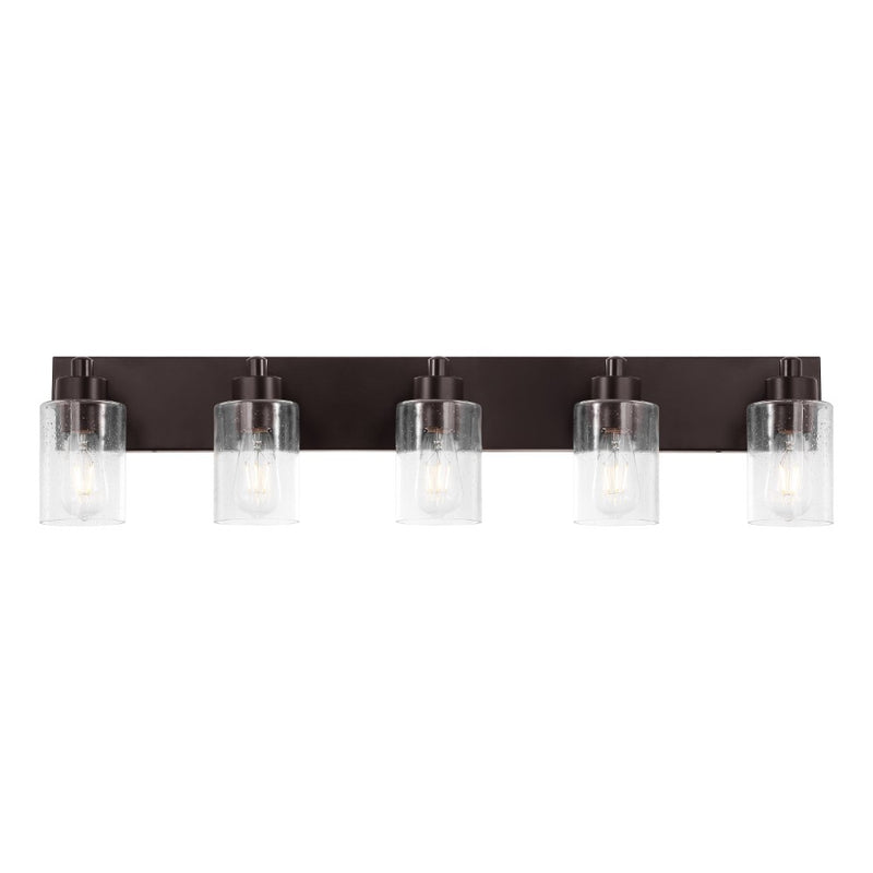 Irving Seeded Glass/Iron Modern Contemporary LED Vanity Light
