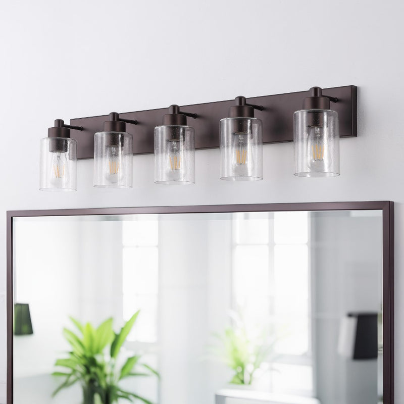 Irving Seeded Glass/Iron Modern Contemporary LED Vanity Light