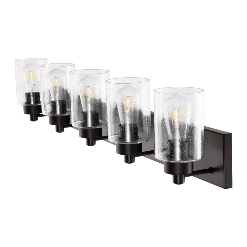 Irving Seeded Glass/Iron Modern Contemporary LED Vanity Light
