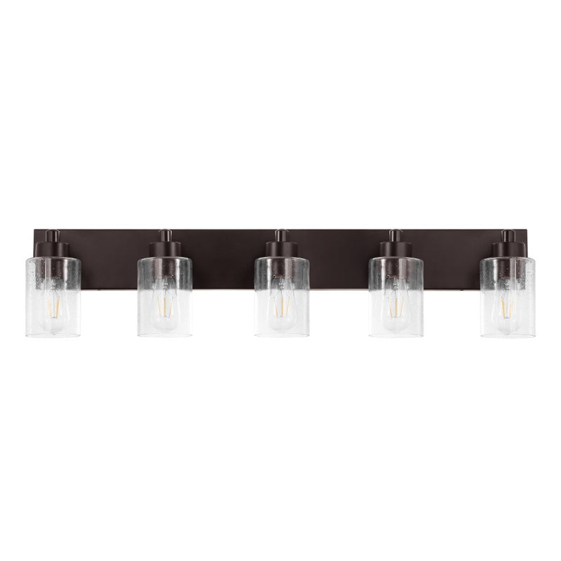 Irving Seeded Glass/Iron Modern Contemporary LED Vanity Light