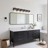 Irving Seeded Glass/Iron Modern Contemporary LED Vanity Light