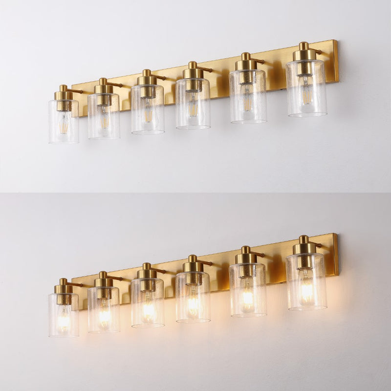 Irving Seeded Glass/Iron Modern Contemporary LED Vanity Light