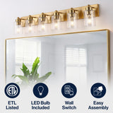 Irving Seeded Glass/Iron Modern Contemporary LED Vanity Light