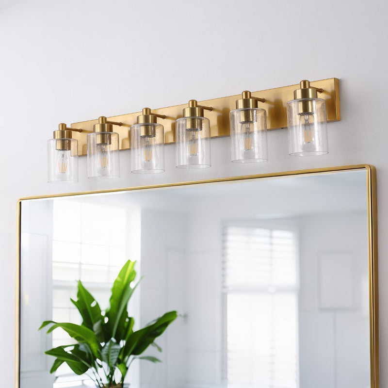 Irving Seeded Glass/Iron Modern Contemporary LED Vanity Light