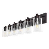 Irving Seeded Glass/Iron Modern Contemporary LED Vanity Light