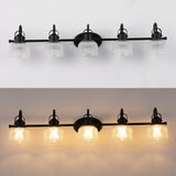 Virginia Metal/Glass LED Vanity Light