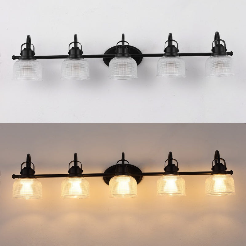 Virginia Metal/Glass LED Vanity Light