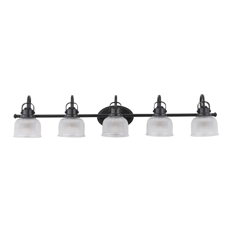 Virginia Metal/Glass LED Vanity Light