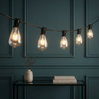 10-Light Indoor/Outdoor 10 ft. Rustic Industrial ST38 Clear Bulb String Lights Black – AI-ON