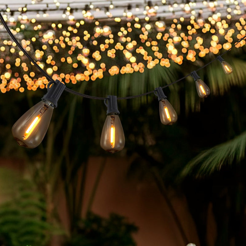 10-Light Indoor/Outdoor 10 ft. Rustic Industrial ST38 Clear Bulb String Lights