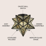 Stella 12" Moravian Star Metal/Clear Glass LED Flush Mount