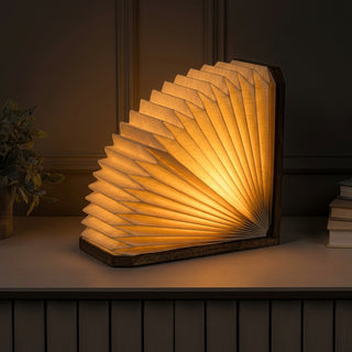 Light on image JYL9108B