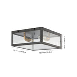 Grayson 12" Metal/Glass LED Flush Mount
