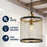 Elena 10" Lantern Metal LED Pendant Black/Brass Gold – ICONS