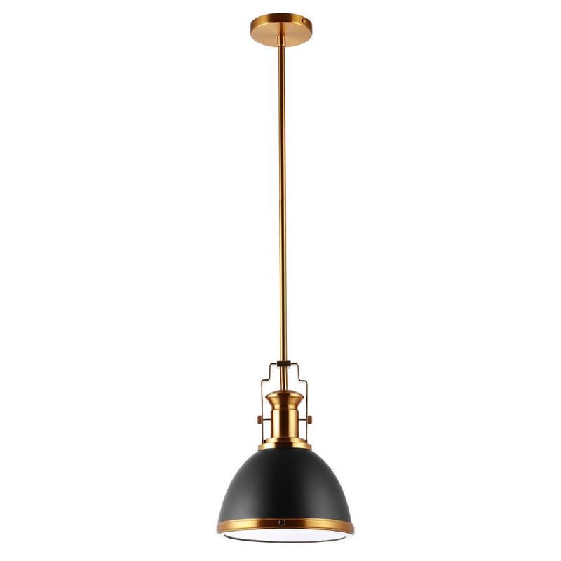 Homer Modern Industrial Iron LED Dome Pendant