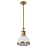 Homer Modern Industrial Iron LED Dome Pendant