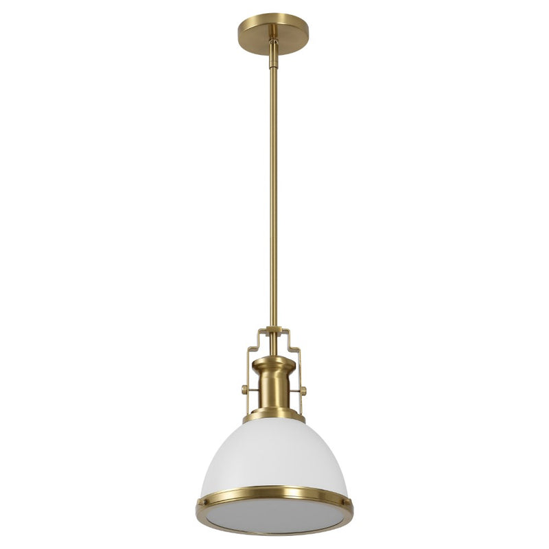 Homer Modern Industrial Iron LED Dome Pendant