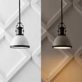 Homer Modern Industrial Iron LED Dome Pendant