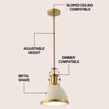 Homer Modern Industrial Iron LED Dome Pendant