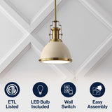 Homer Modern Industrial Iron LED Dome Pendant
