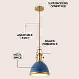 Homer Modern Industrial Iron LED Dome Pendant