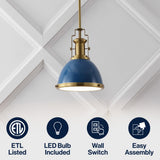 Homer Modern Industrial Iron LED Dome Pendant