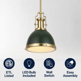 Homer Modern Industrial Iron LED Dome Pendant