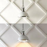 Homer Modern Industrial Iron LED Dome Pendant