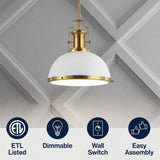 Homer Modern Industrial Iron LED Dome Pendant Brass Gold/White / 13'' – ICONS