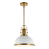 Homer Modern Industrial Iron LED Dome Pendant