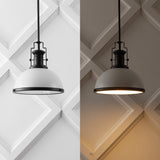 Homer Modern Industrial Iron LED Dome Pendant