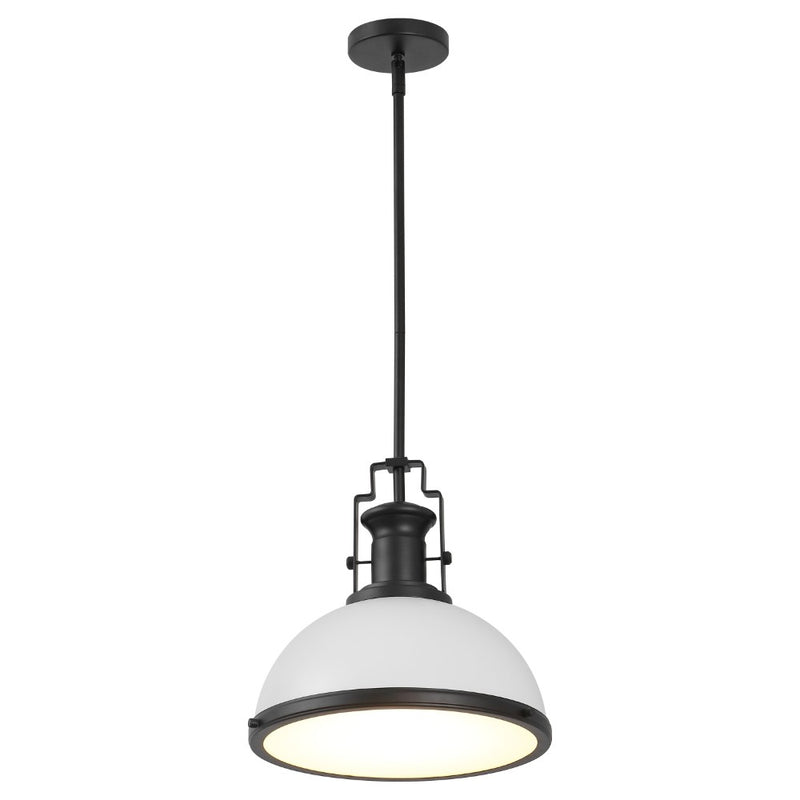 Homer Modern Industrial Iron LED Dome Pendant