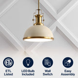 Homer Modern Industrial Iron LED Dome Pendant