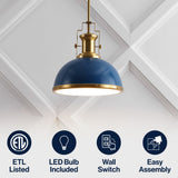 Homer Modern Industrial Iron LED Dome Pendant