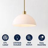 Solene Modern Contemporary Adjustable Metal/Glass Dome LED Pendant