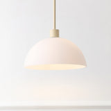 Solene Modern Contemporary Adjustable Metal/Glass Dome LED Pendant